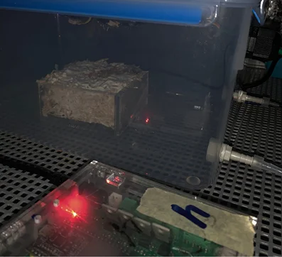 Untitled design (23) (1)