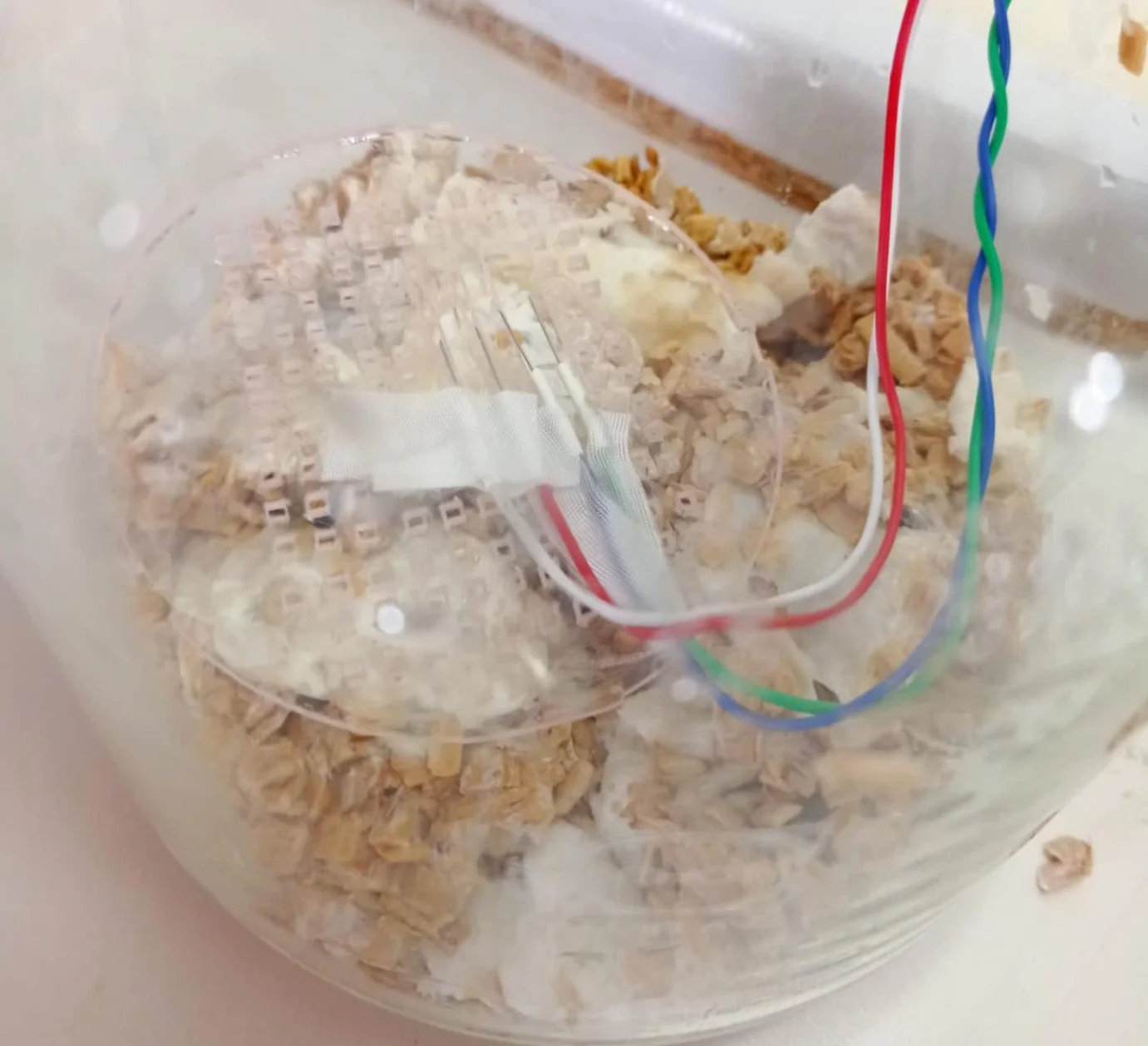 Untitled design (26) (1)